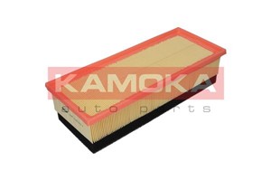 Ilmansuodatin, CITROËN C5 II, C5 III, C5 Break II, C5 Break III, C6, PEUGEOT 407, 407 SW, 1444.QY, 1444.QZ, 1444.RA, 1444.RC, 1444QY, 14
