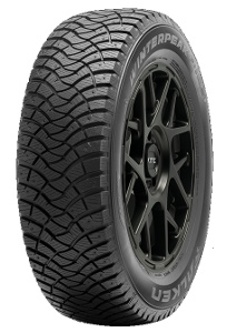 Falken WINTERPEAK F-ICE 1 ( 255/55 R19 111T XL, nastarengas )
