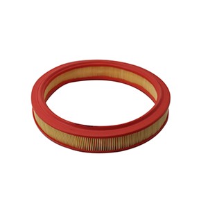 Ilmansuodatin, FORD, 165466131R, 16546JD20B, 6162292, 6497632